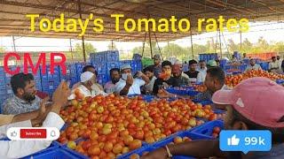 Today's Tomato rates at CMR Mandi, Kolar Karnataka 20 December 24 🍅🍅🍅🍅🍅🍅🍅