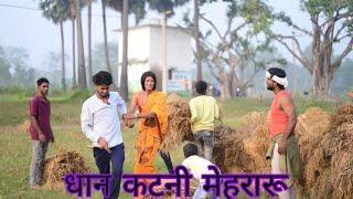 धान कटनी मेहरारू || Dhan Katni Mehraru || Mani Meraj Comedy #2024 Lastest