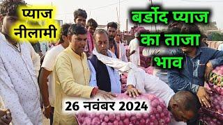 26 नवंबर 2024 बर्डोद बहरोड़ प्याज कि नीलामी | बर्डोद मंडी में प्याज भाव | Bardod प्याज मंडी