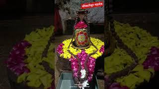 🙏🪷श्री कालेश्वर महादेव मंदिर 🦚काला बाग गुफा 🏵️अशोकनगर💫💫💯💯🌺