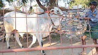 బుగ్గనిపల్లె గ్రామం ll బేతంచెర్ల మండలం ll నంద్యాల జిల్లా