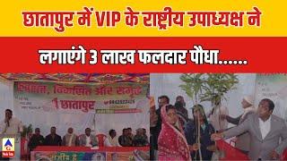 छातापुर में VIP के राष्ट्रीय उपाध्यक्ष ने लगाएंगे  3 लाख  फलदार पौधा| G MEDIA TODAY