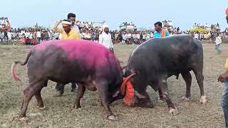 जवाहर नगर तुपा येथील दोन नंबर ची टक्कर ( वसमत अंकुश कानबाले & शिखाची वाडी )