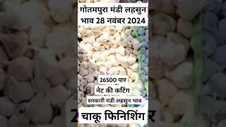 गोतमपुरा मंडी लहसुन भाव 28 नवंबर 2024