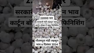 गौतमपुरा मंडी लहसुन भाव 6 दिसंबर 2024