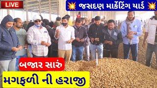 🔴live peanuts trading price today in jasdan marketing yard, groundnut price,December 25, 2024