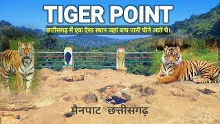 TIGER POINT MAINPAT AMBIKAPUR / टाईगर पॉइंट मैनपाट अम्बिकापुर #tigerpoint / Nilesh Sidar