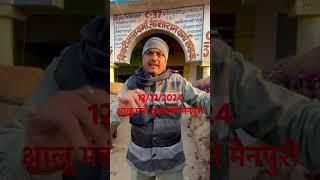 आलू का भाव 12/12/2024 को जानिये कुरावली मंडी मैनपुरी