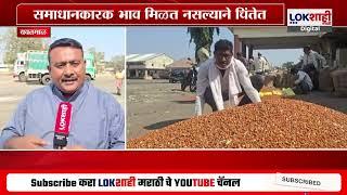 Yavatmal Farming | समाधानकारक भाव मिळत नसल्याने शेतकरी चिंतेत, सरकार लक्ष देणार का? | Lokshahi