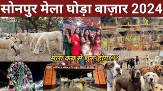 सोनपुर मेला घोड़ा बाजार 2024 || sonpur mela horse market 2024 || sonpur mela ||