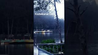 கொடைக்கானல் ஏரி படகு சவாரி || Kodaikanal Lake Boating ||