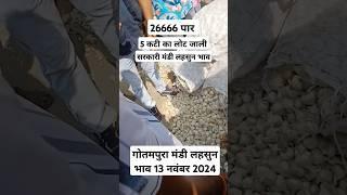 गोतमपुरा मंडी लहसुन भाव 13 नवंबर 2024