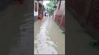 #viralvideo katwa haripur Bardhaman