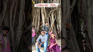 ପାପକ୍ଷୟ ଘାଟ୍, ବିନିକା 🎉 Papakhaya Ghat, Binka || Sambalpuri Mini Vlogs || Dandasena Mini Vlogs