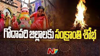 గోదావరి జిల్లాలకు సంక్రాంతి శోభ.. | Godavari districts | Sankranti Festival | Ntv