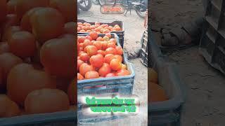 देसी टमाटर थोक भाव भाटापारा सब्जी मंडी desi tamatar thok Bhav Bhatapara sabji mandi