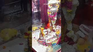 बाबा भूतनाथ मंदिर रंगवासा राऊ इंदौर फॉलो करे हमारे चैनल को फॉलो जरूर करें और वीडियो ज्यादा शेयर करे