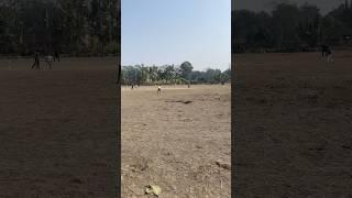 मुसहरी मैच टूर्नामेंट चालू क्रिकेट #shorts #short #shortvideo #shortsvideo #cricket Baby.cat786