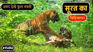 #vlog 2 || सूरत का चिड़ियाघर || Surat ka chidiyaghar || Surat Zoo Nature park sarthana tiger fight