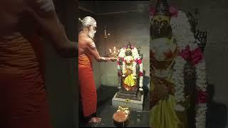 திருமங்கலம் சிதம்பரேஸ்வரர் உடனுறை ஶ்ரீ சிவகாமசுந்தரி அம்மன் இன்றைய தீபாரதனை