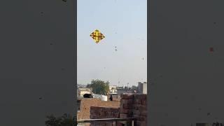 #ytshorts ONLY BIG KITE FLYING 🪁|| Bathinda Vasant Panchami 🪁🧵🎉||