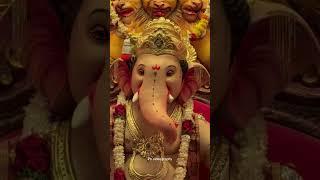 Raichur Ganesh Utsav