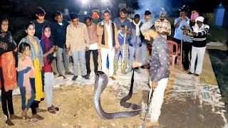 श्योपुर जिले के पाण्डोला में रात के समय घर के अंदर संदूक के नीचे निकला इंडियन कोबरा Mob 8962714319