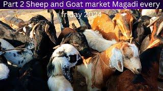 Part 2 Sheep and Goat market Magadi every friday 2024/ ಭಾಗ 2 ಕುರಿ ಮತ್ತು ಮೇಕೆ ಮಾರುಕಟ್ಟೆ ಮಾಗಡಿ