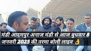 मंडी आदमपुर अनाज मंडी से आज बुधवार 8 जनवरी 2025 की नरमा बोली लाइव 👌