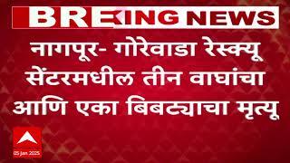 Nagpur : गोरेवाडा रेस्क्यू सेंटरमधील तीन वाघांचा आणि एका बिबट्याचा मृत्यू