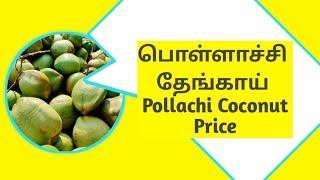 20/12/2024 பொள்ளாச்சி தேங்காய் மற்றும் கொப்பரை விலை | Pollachi Coconut and Copra Price