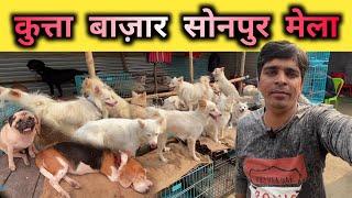 कुत्ता बाज़ार सोनपुर मेला | Dogs Market in Sonepur Fair 2024