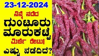 Today Guntur Market Chilli Rates l 23-12-2024 l ಬ್ಯಾಡಗಿ ಮಿರ್ಚಿ ಗರಿಷ್ಠ ಬೆಲೆ ಎಷ್ಟು? l ‎‎BealertJob