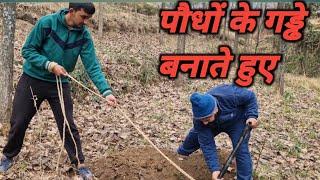 पौधों के गड्ढे बनाते हुए || गाँव की ज़िन्दगी || Mandi || Himachal Pradesh ||