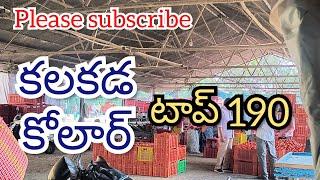 కలకడ, కోలార్ టమోటా ధరలు 08/01/2025