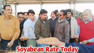 10 जनवरी 2025 || कुक्षी मंडी में गेहूं मक्का सोयाबीन का भाव || Soyabean Rate Today || kukshi mandi