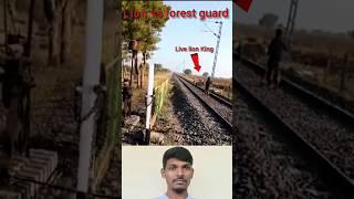 Lion crossing railway track at Liliya station of Bhavnagar divi, Gujarat