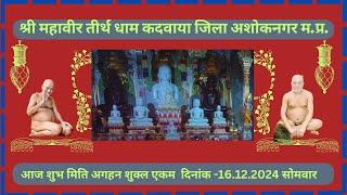 श्री १००८अतिशयकारी महावीर धाम कदवाया जिला अशोकनगर म.प्र.आज की शान्तिधारा दिनांक 16.12.2024 सोमवार