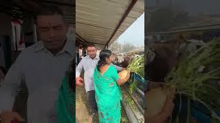 गौ सेवा राँची गौशाला राँची प्रातः.14.01.2025