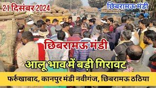 छिबरामऊ मंडी आलू भाव में बड़ी गिरावट || आज का आलू का भाव || Aaj Ka Aalu Ka Bhav फर्रुखाबाद कानपुर