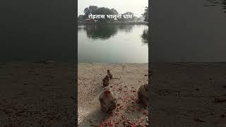 भालूनी धाम रोहतास बिहार