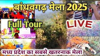 बांधवगढ़ मेला 2025 ? Full Tour LIVE मध्य प्रदेश का सबसे खतरनाक मेला । 🐅