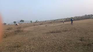 cricket ll patha khuard___kesli___ sagar (MP)