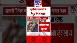 Leopard Attack in Shamli: यूपी के शामली मेंतेंदुए की दहशत |