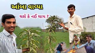 આંબા વાવ્યા || તાપણું || Life at Botad Village Vlogs