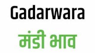 Gadarwara mandi ret.    07-11-2024.    गाडरवारा मण्डी भाव।