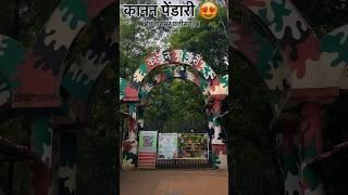 कानन पेंडारी चिड़ियाघर बिलासपुर छत्तीसगढ़/Kanan pendari Zoo Bilaspur