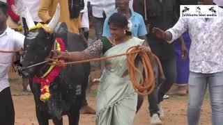 சிவகங்கை மாவட்டம் NNK நவனி நண்பர்கள் சார்பாக நடத்தும் மாபெரும் மஞ்சுவிரட்டு திருவிழா 2024