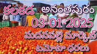 03-01-25#madanapalle tomato market price today