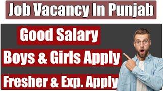 Job vacancy in Jalandhar | job in Jalandhar | girls job in Jalandhar | job in Punjab